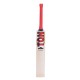 SS Ton Gold Edition English Willow Cricket Bat