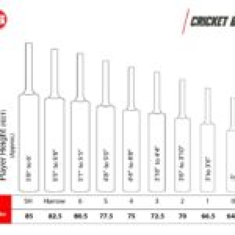 SS Ton Legend English Willow Cricket Bat