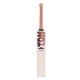 SS Ton Vertu English Willow Cricket Bat