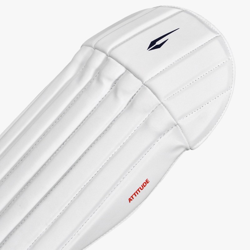 DSC Attitude Wicket Keeping Leg Guard