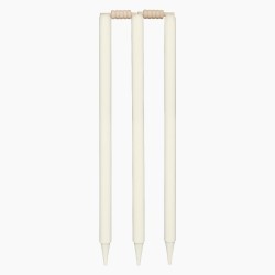 DSC Bleached and Polished Cricket Stumps