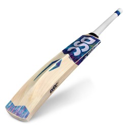 DSC BLU 66 Kashmir Willow Bat