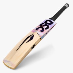 DSC Condor Blitzer Kashmir Willow Bat
