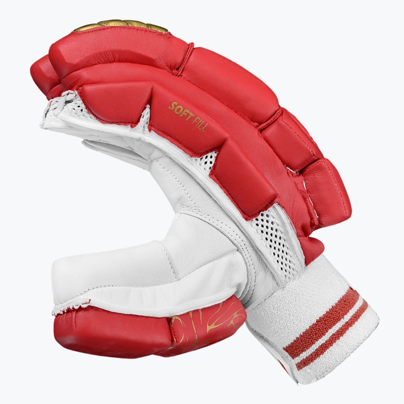 DSC Flite 20/20 Batting Gloves (Red)
