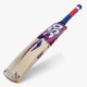 DSC Intense Clout Kashmir Willow Bat