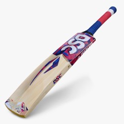 DSC Intense Force Kashmir Willow Bat