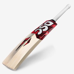 DSC Intense Speed English Willow Bat