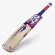 DSC Intense Spirit Kashmir Willow Bat