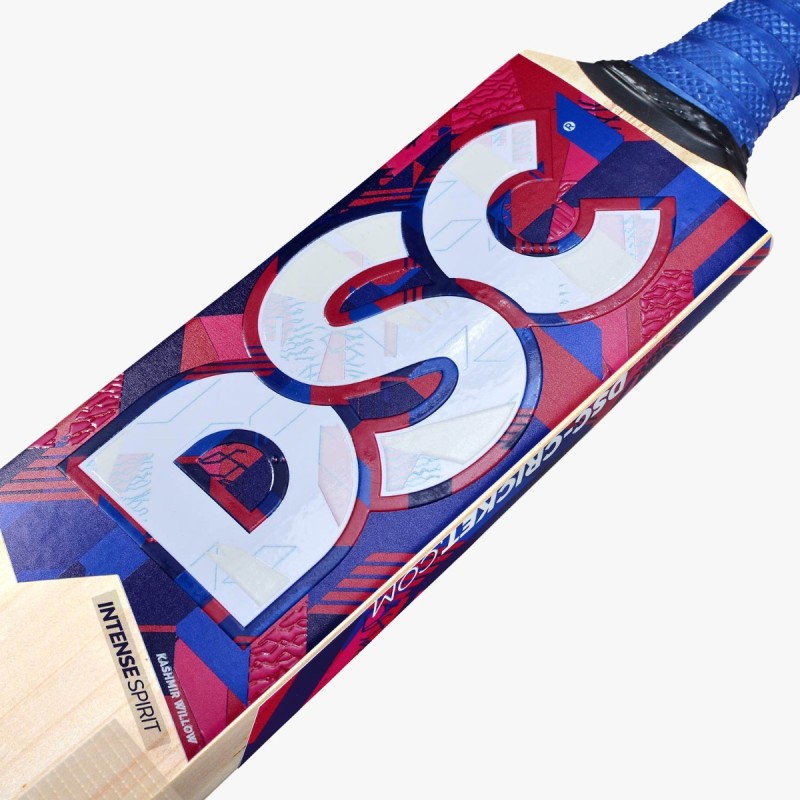 DSC Intense Spirit Kashmir Willow Bat