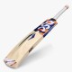 DSC Krunch 55 Kashmir Willow Bat