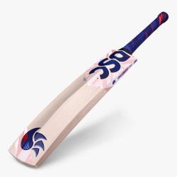 DSC LeedZ English Willow Bat (Made in England)
