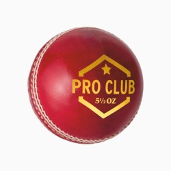 DSC Pro Club Leather Ball