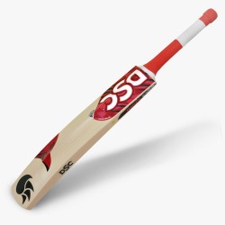 DSC Roar Terra Kashmir Willow Bat