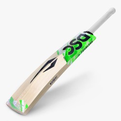 DSC SPLIIT 350 English Willow Bat