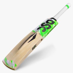 DSC Spliit 55 Kashmir Willow Bat