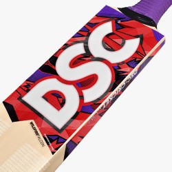 DSC Wildfire Falcon Tennis Bat