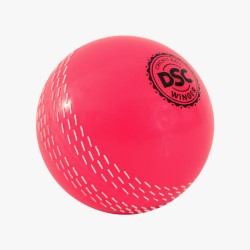 DSC Winger I-10 Ball (6 Balls)