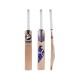 SG Slammer Classic English Willow Cricket Bat
