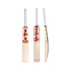 SG Sunny Tonny Arc 2.0 English Willow Cricket Bat