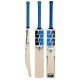 SS CLUB VELLUM Kashmir Willow Cricket Bat