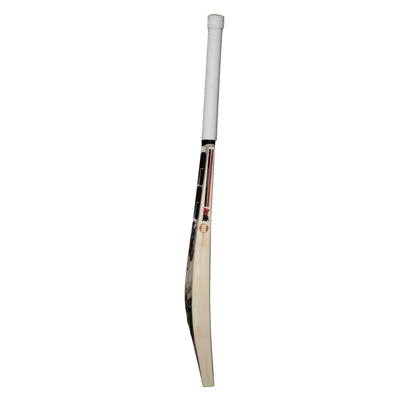 SS Devil Red English Willow Cricket Bat