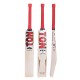 SS GOLD EDITION English Willow Cricket Bat