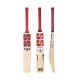 SS GUTSY Kashmir Willow Cricket Bat