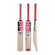 SS IKON Kashmir Willow Cricket Bat