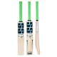 SS MAGNUM Kashmir Willow Cricket Bat