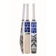 SS MASTER 100 Kashmir Willow Cricket Bat