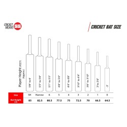 SS PUNCH English Willow Cricket Bat