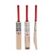 SS RANGER Kashmir Willow Cricket Bat