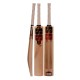 SS SOFT PRO Kashmir Willow Cricket Bat