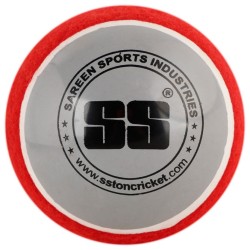 SS SWING WITH SEAM Practice Ball