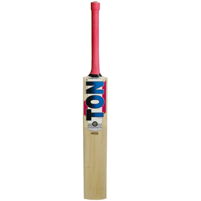 SS TON POWER PLUS Kashmir Willow Cricket Bat