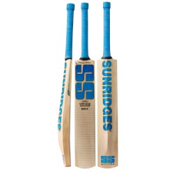 SS VINTAGE BOLT Kashmir Willow Cricket Bat