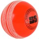 SS WIND (SEAMER BALL) Practice Ball