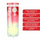 HEAD Championship Tennis Ball Carton (72 Balls)