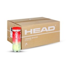 HEAD Championship Tennis Ball Carton (72 Balls)
