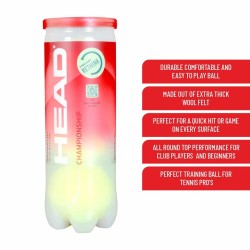 HEAD Championship Tennis Ball Dozen (12 Balls)