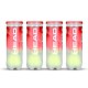 HEAD Championship Tennis Ball Dozen (12 Balls)
