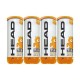 HEAD Tip-II Tennis Ball Dozen (12 Balls)