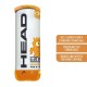HEAD Tip-II Tennis Ball Carton (72 Balls)