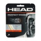 HEAD Perfect Power Squash String Set