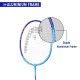 HEAD Reflex 10 Badminton Racquet (Strung)