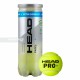 HEAD Padel Pro+ Ball Dozen (12 Balls)