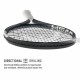 HEAD Speed Pro 2026 Tennis Racquet (Strung)