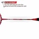 APACS Z Ziggler Badminton Racquet (Unstrung, Red)