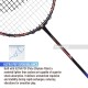 APACS Vanguard 11 Next Gen Badminton Racquet (Unstrung, Black/Royal Gold)
