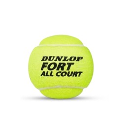 DUNLOP Fort All Court Tennis Ball (3 Balls)
